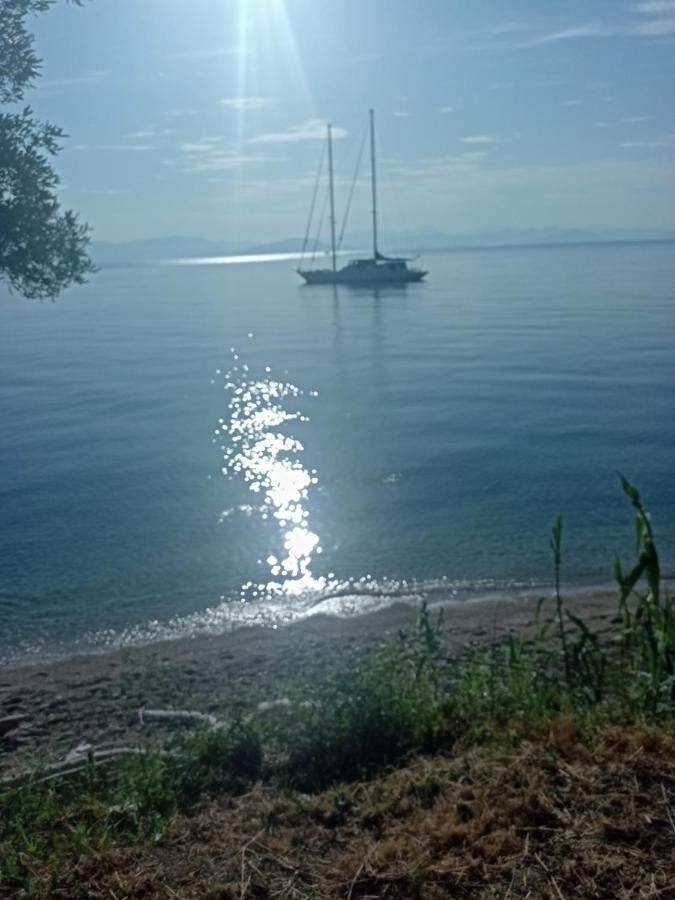Corfu Bay Sea View Apartments 100M From The Beach Benitses  Exterior foto